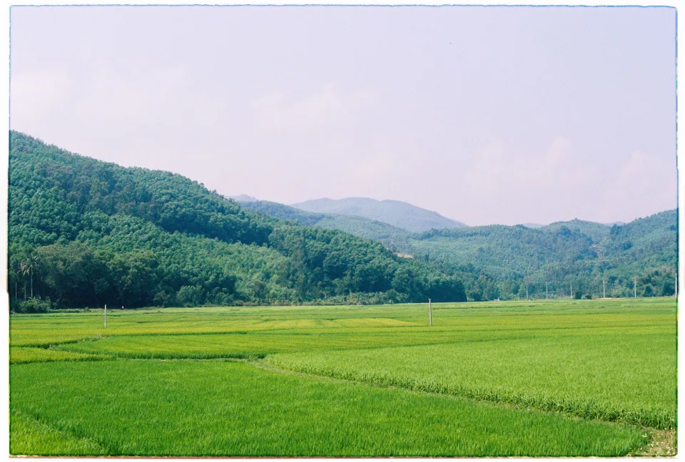 Kho gạo của Trịnh Anh Việt